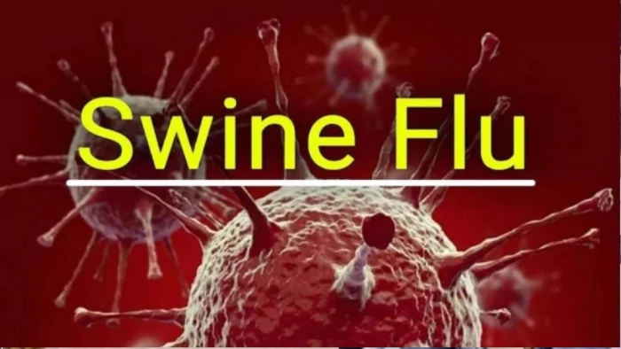 Swine Flu Alert: छत्तीसगढ़ में H1N1 संक्रमण बढ़ा, 24 नए मरीज मिलने से एक्टिव केस 108